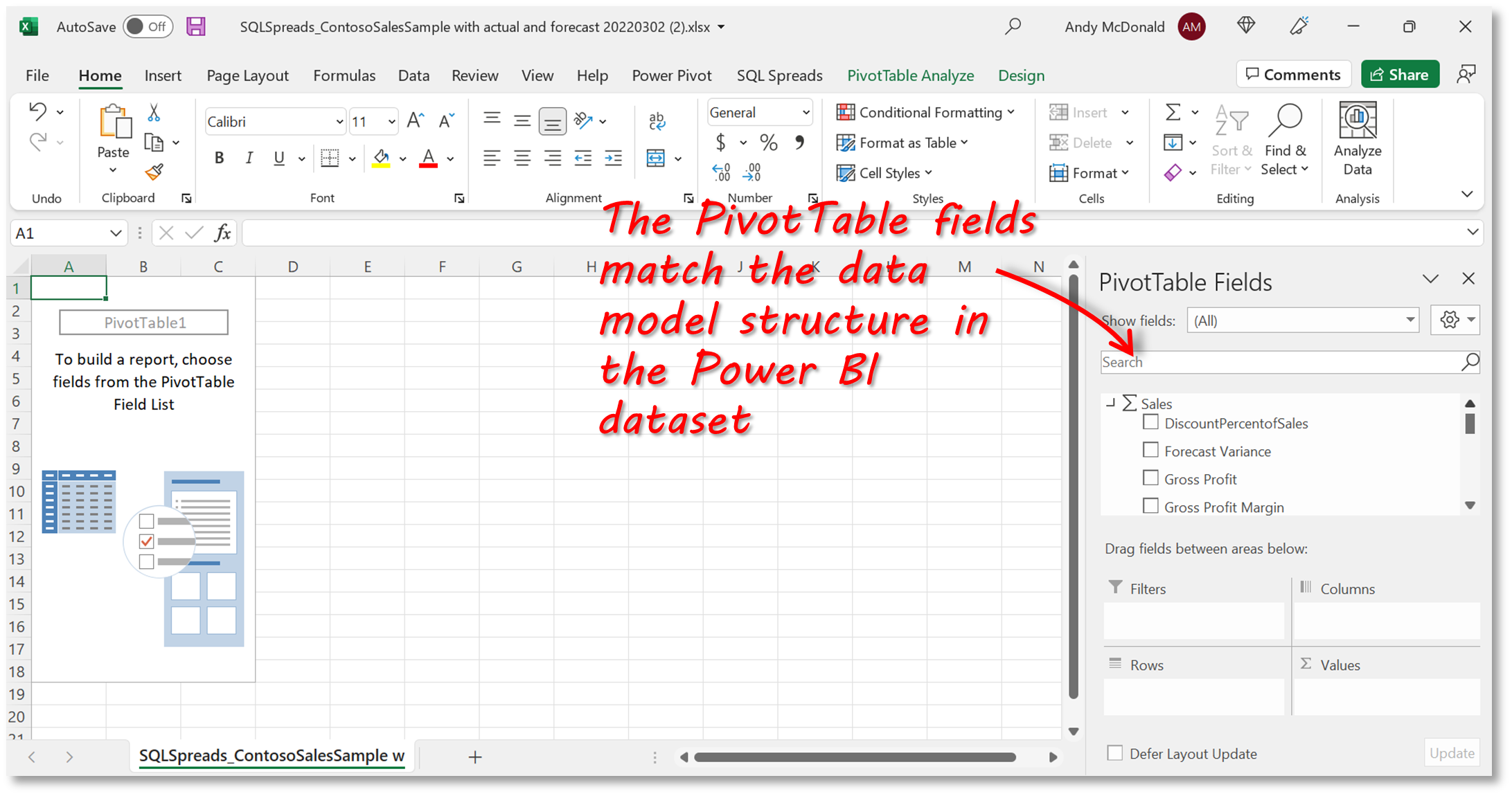 Analyze In Excel Example PivotTable Fields