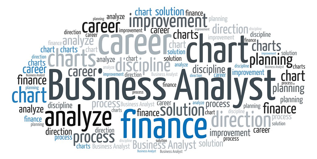 Business Analyst (BA)