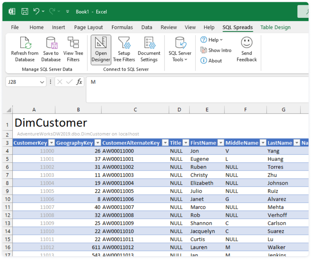 A DimCustomer table in Excel as an example of how a BI team can import data from Excel into SQL Server
