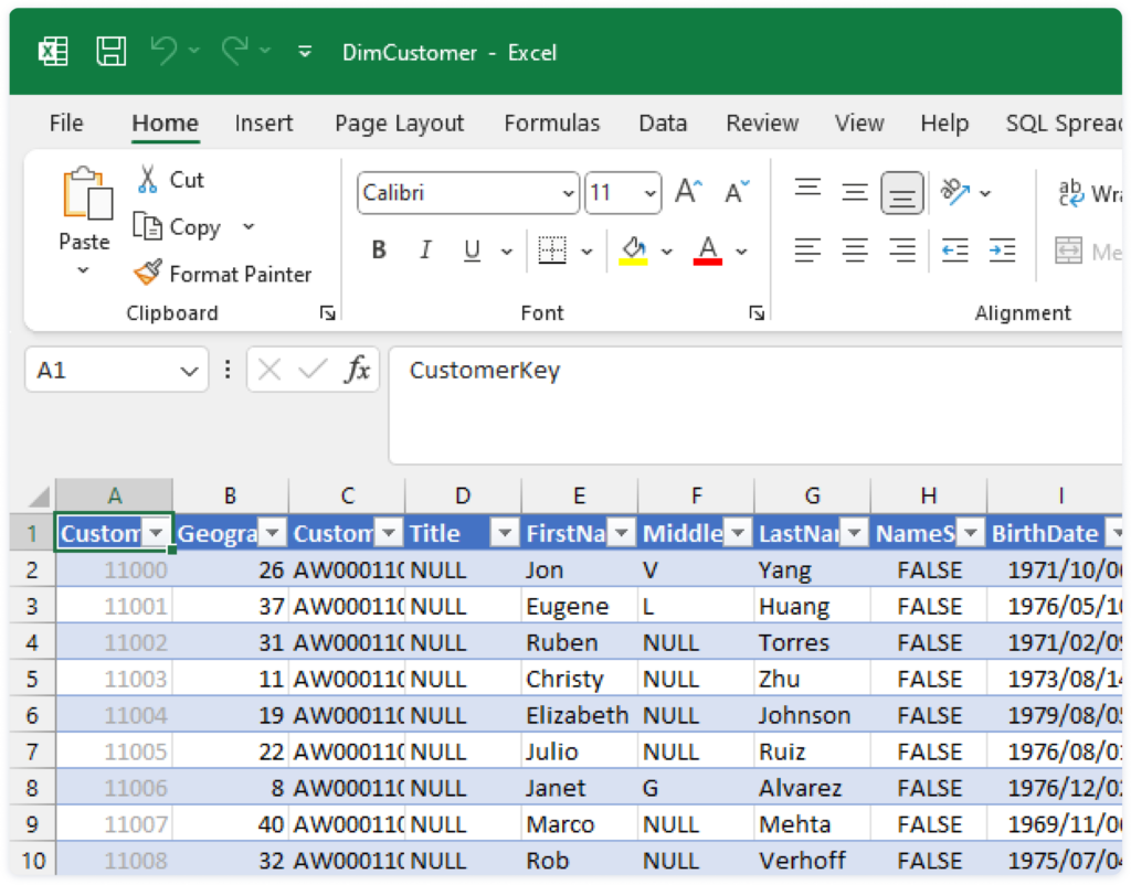 Excel File Format view of an Excel document opened