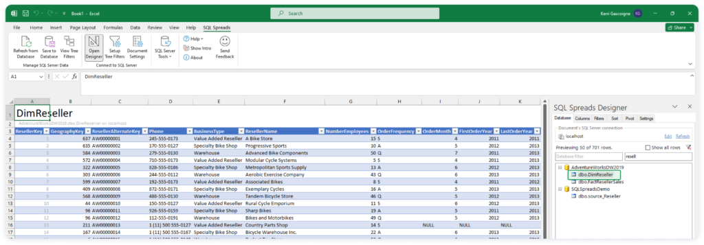Load the required DimReseller table into Excel from the Designer to start setting up the Tree Filters